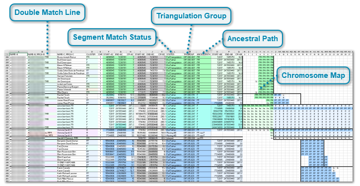 DMT Excel File - Chromosome Map Page